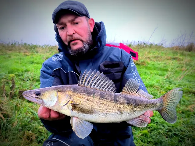 Zander
