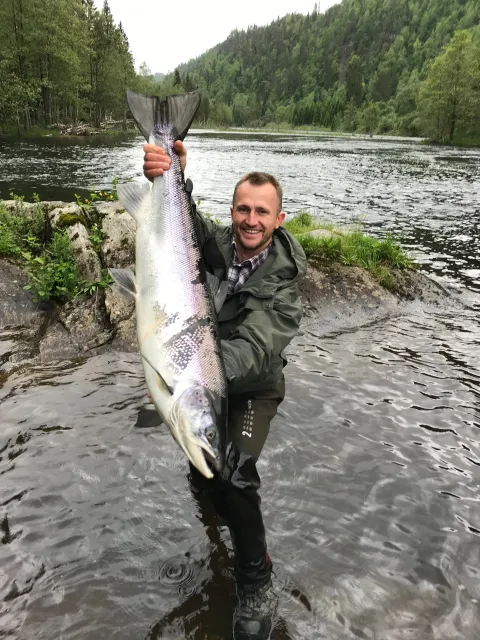 Lachs