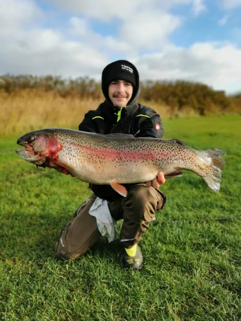 Regenbogenforelle