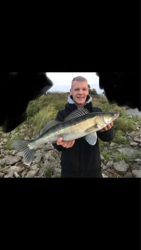 Zander