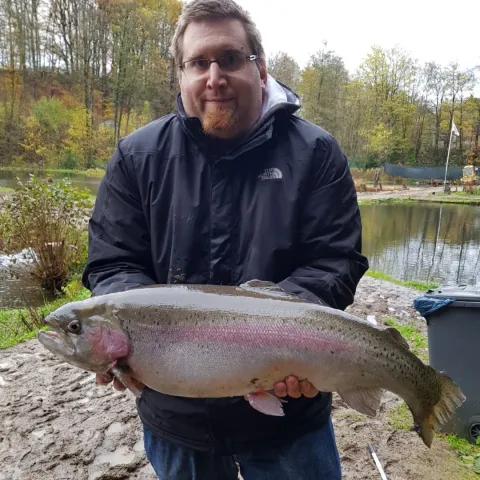 Regenbogenforelle