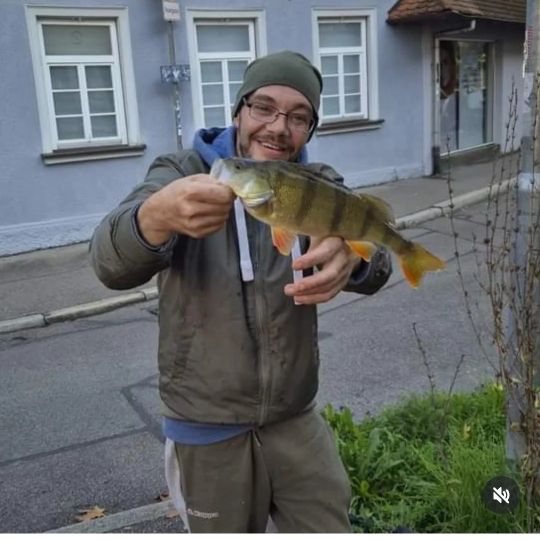 Flussbarsch