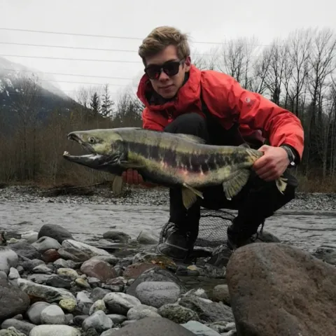 Lachs