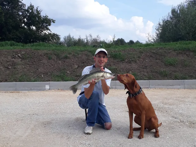 Zander