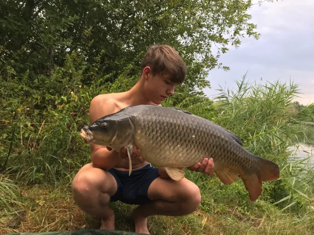 Karpfen