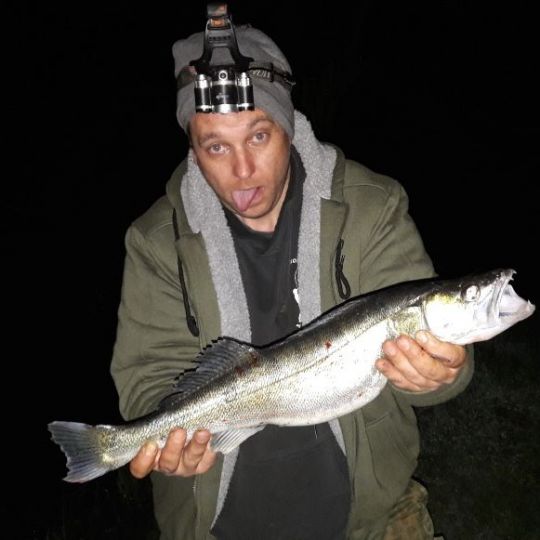 Zander
