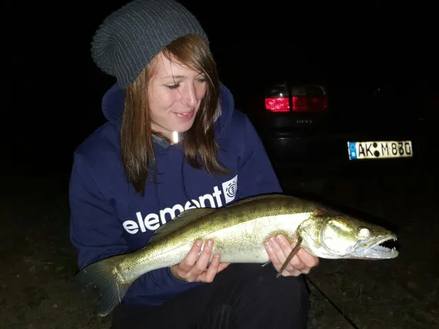 Zander