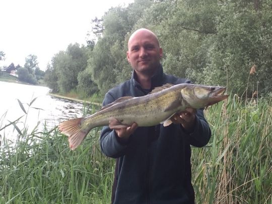 Zander