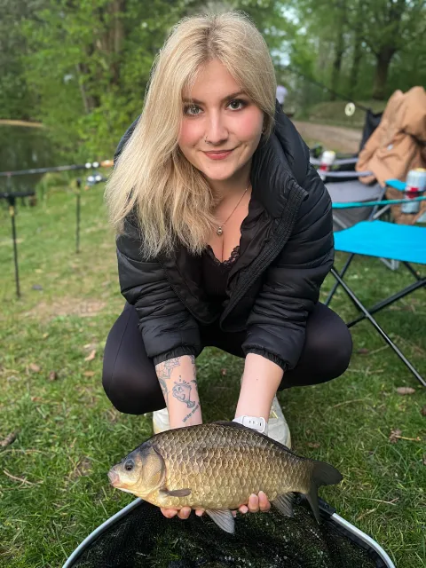 Karausche