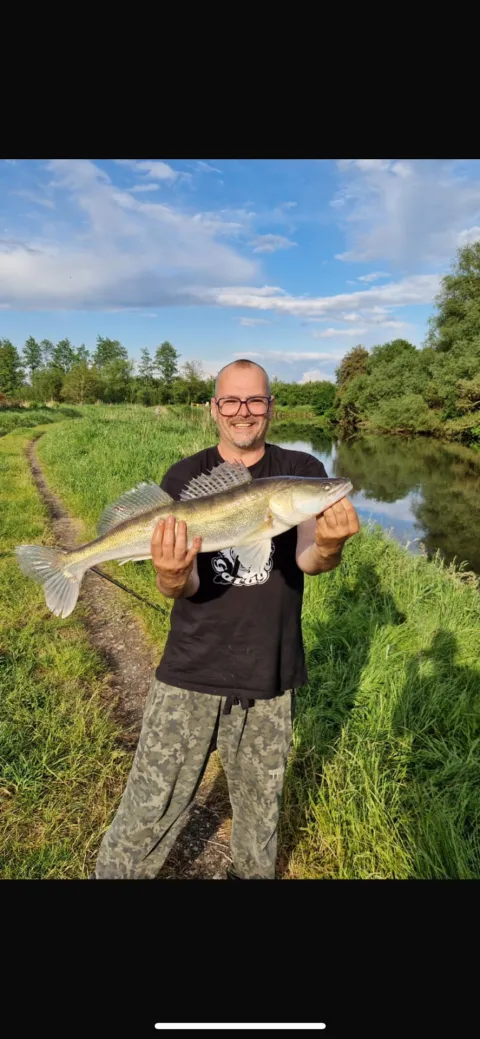 Zander