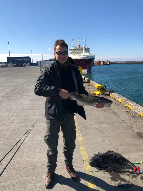 Dorsch