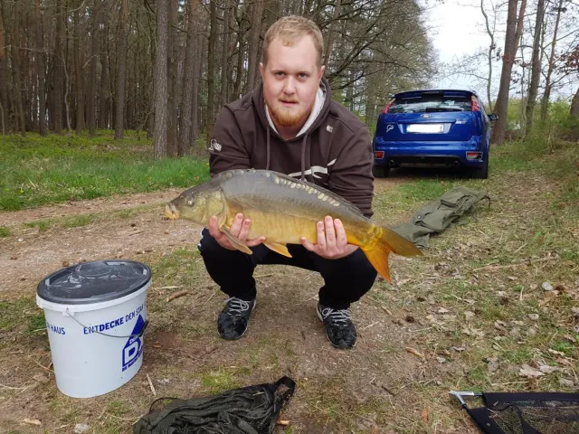 Karpfen