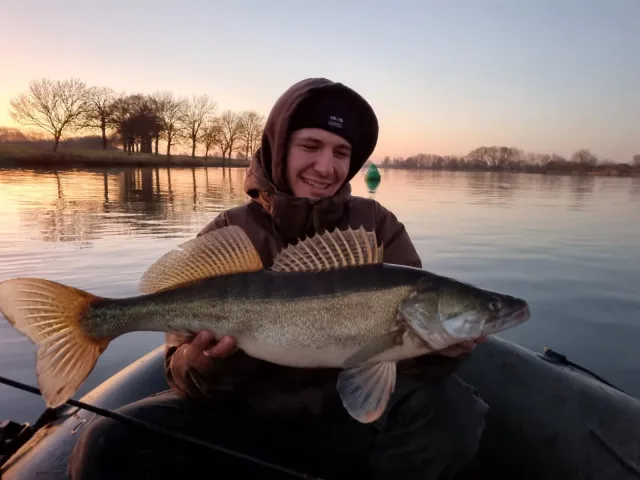 Zander