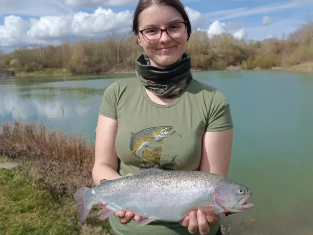 Regenbogenforelle