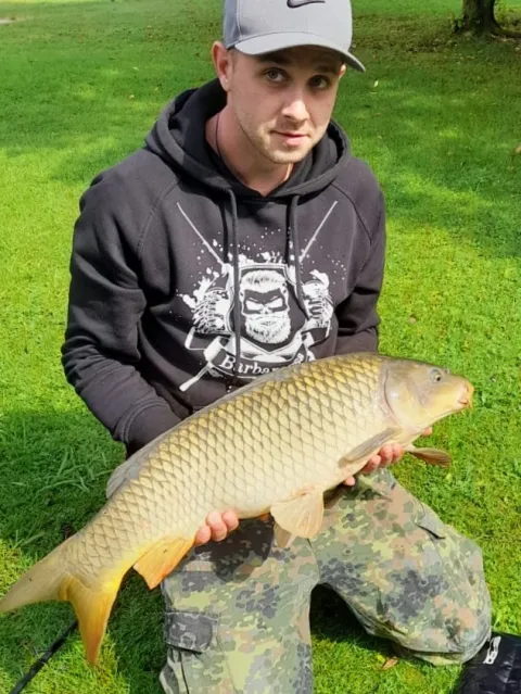 Karpfen