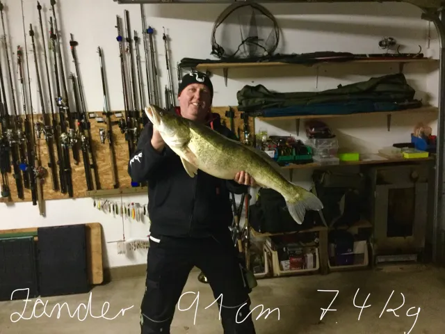 Zander