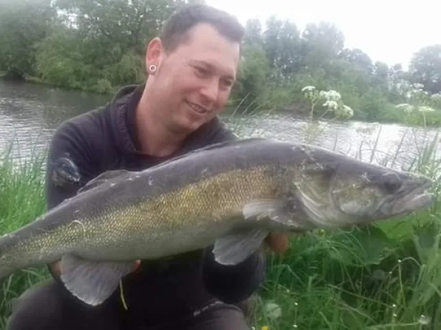 Zander
