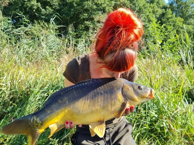 Karpfen