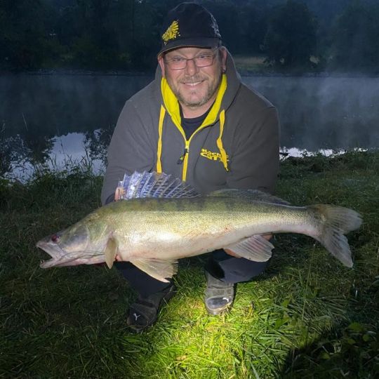 Zander