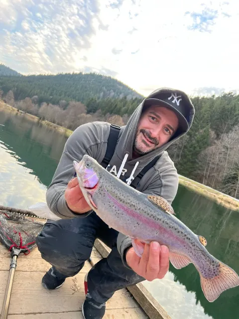 Regenbogenforelle