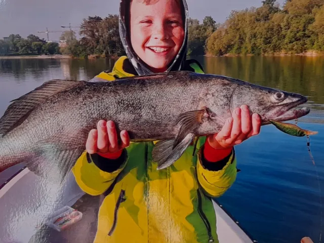 Zander