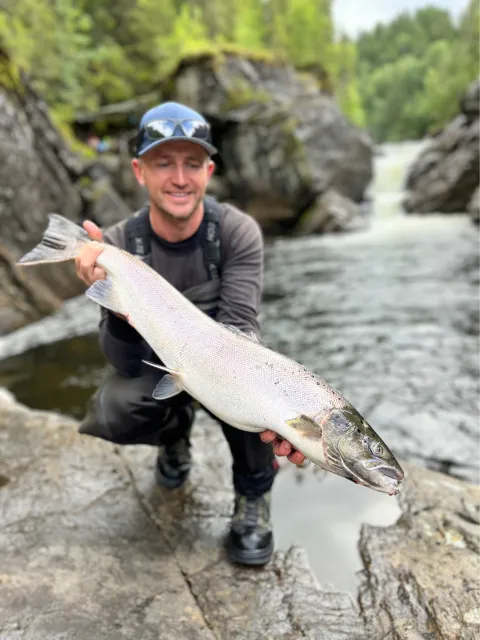 Lachs