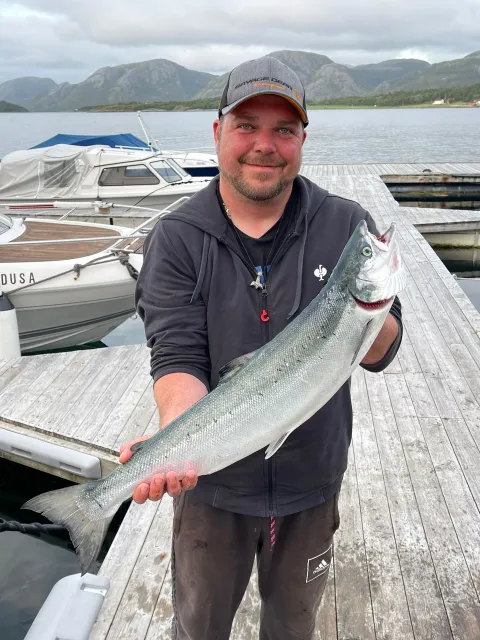 Lachs