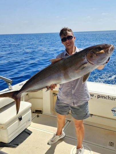 Amberjack