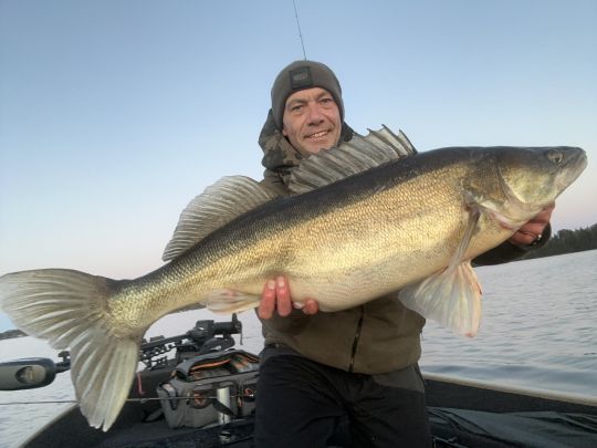 Zander