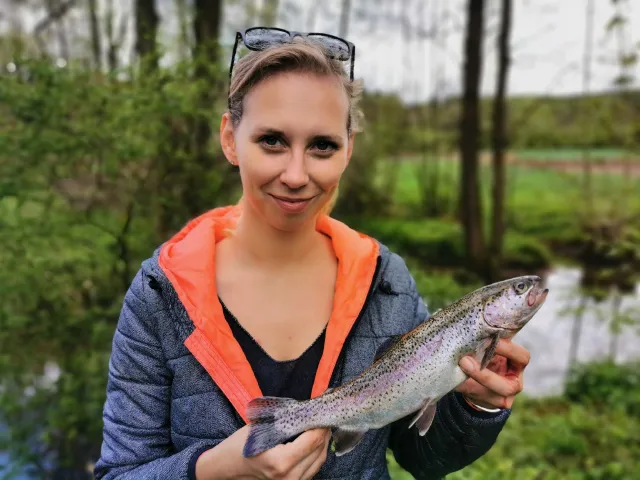 Regenbogenforelle