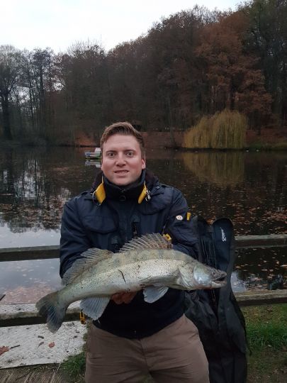 Zander