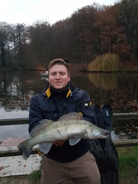 Zander