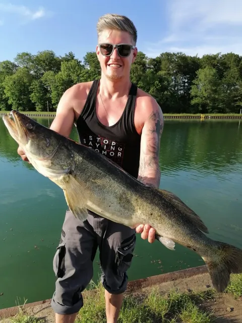 Zander