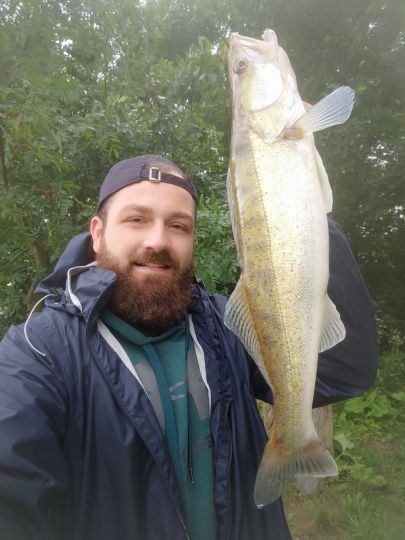 Zander