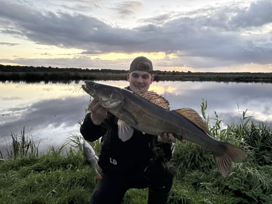 Zander