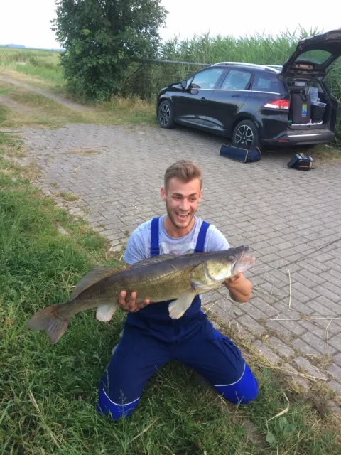 Zander