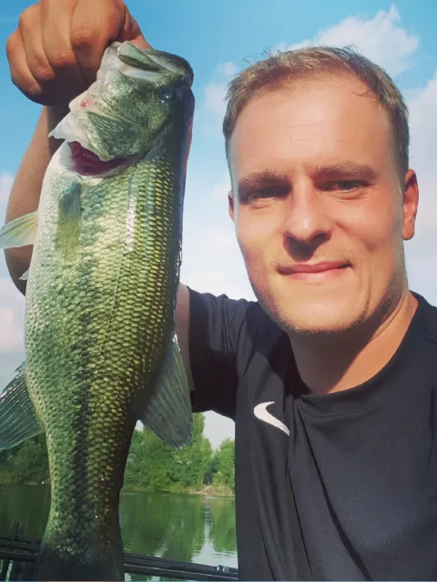 Schwarzbarsch