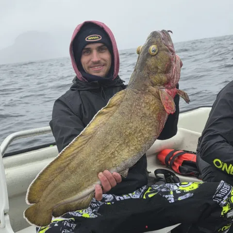 Lumb