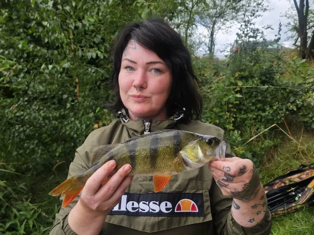 Flussbarsch