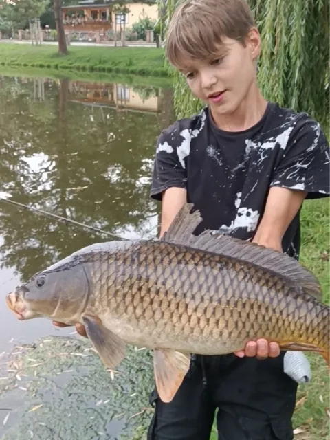 Karpfen