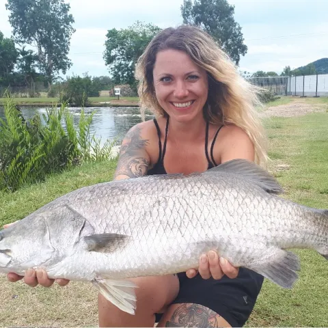 Barramundi