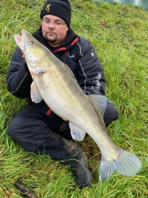 Zander