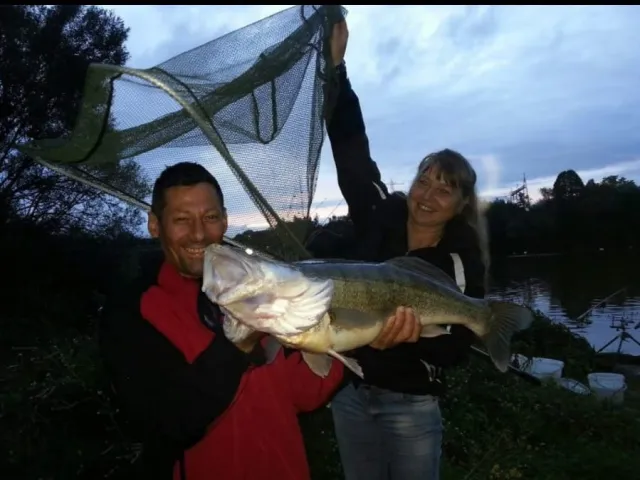 Zander
