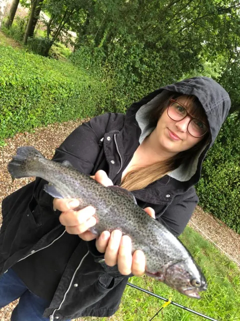 Regenbogenforelle
