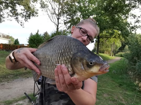 Giebel