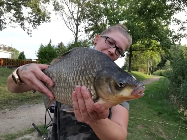 Giebel