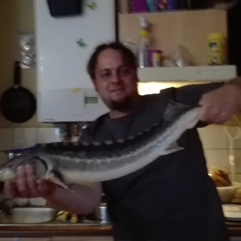 Stör