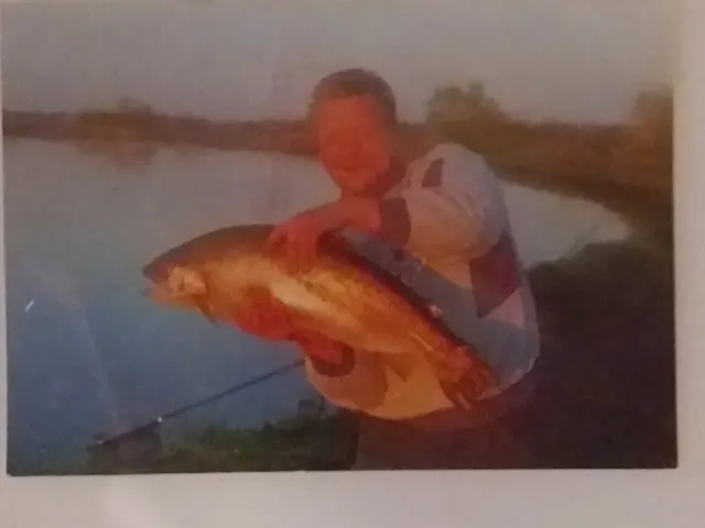 Regenbogenforelle