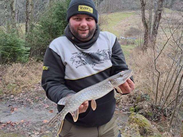 Hecht