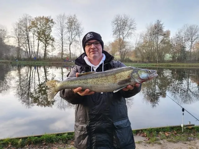 Zander